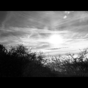 Meet your Posher, Nguyen